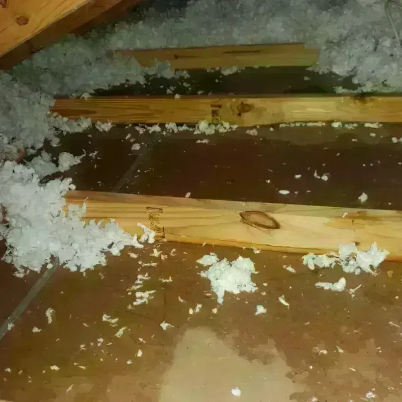 Attic Water Damage in Robstown, TX